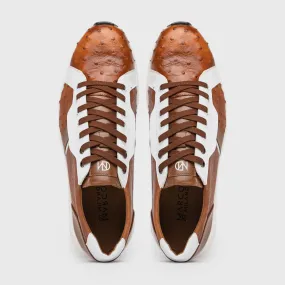 Lyon II - Brandy/White