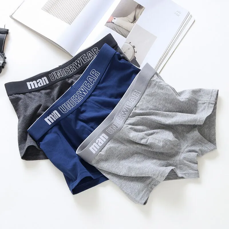 Male Boxer Underwear Men Cotton Man Boxershort Breathable Shorts Boxers