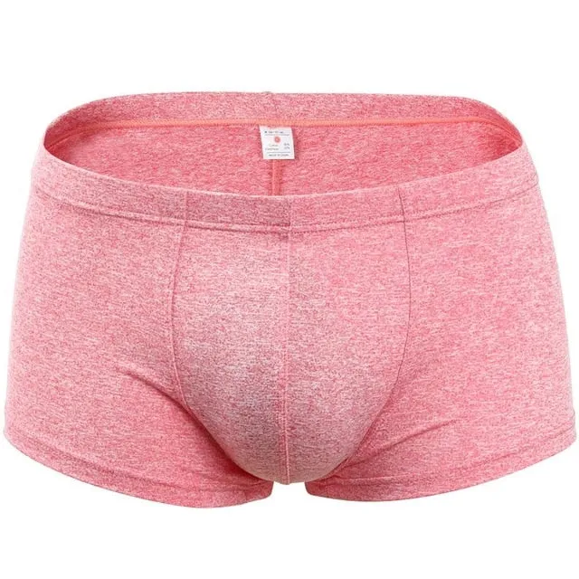 Trunk Men's Boxers Cotton Sexy Men Underwear