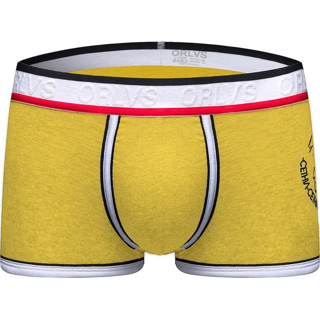 Trunk Men's Boxers Cotton Sexy Men Underwear