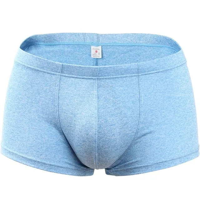 Trunk Men's Boxers Cotton Sexy Men Underwear